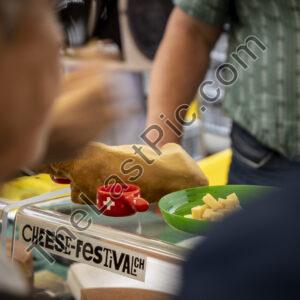Photo: 8133