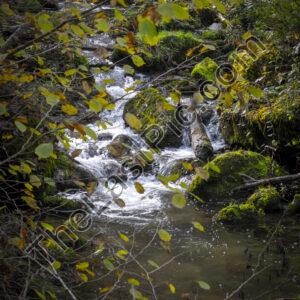 Photo: 7785