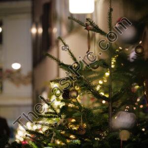 Photo: 7263