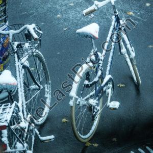 Photo: 7284