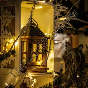 Photo: 7287