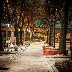 Photo: 7293