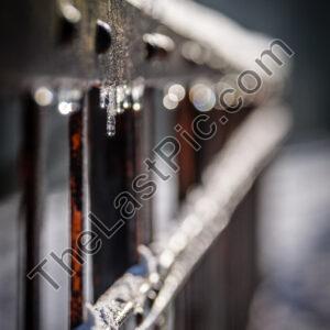 Photo: 7326