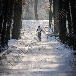 Photo: 7833