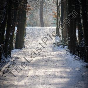 Photo: 7836