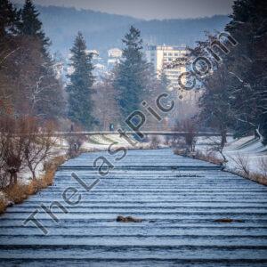 Photo: 7839