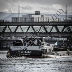 Photo: 7344