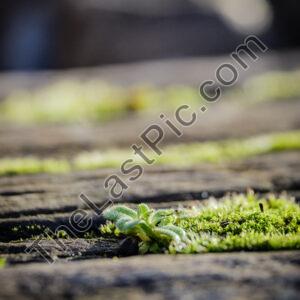 Photo: 7842