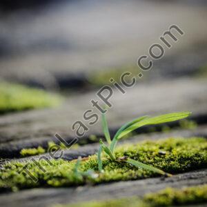 Photo: 7845