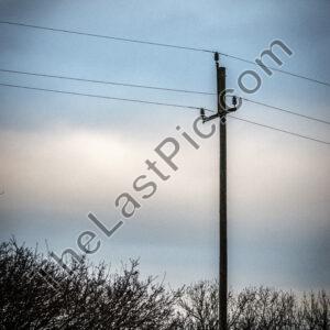 Photo: 7353