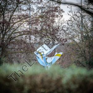 Photo: 7356