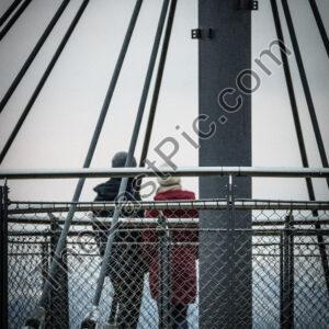 Photo: 7365