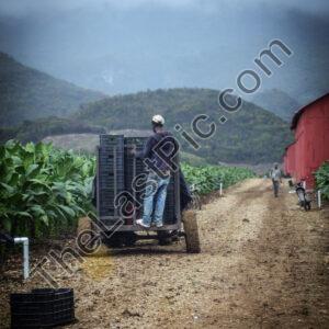 Photo: 8322