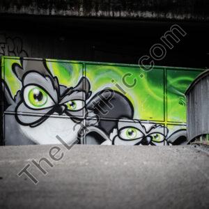 Photo: 7488