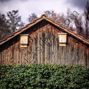 Photo: 7494