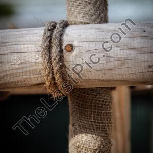 Photo: 8439