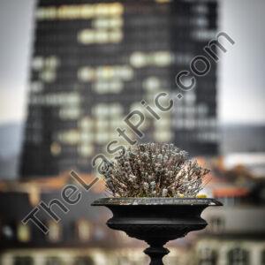 Photo: 7533