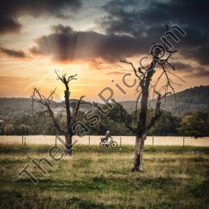 Photo: 7974