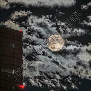 Photo: 7980